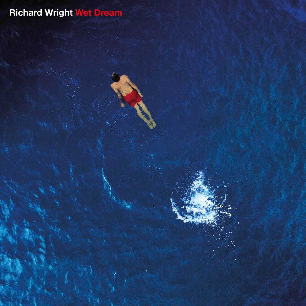 

Richard Wright Wet Dream (Blue Marbled) (LP)