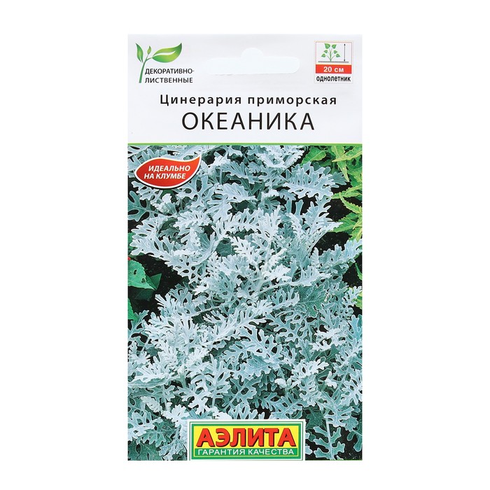 

Семена Цветов Цинерария Океаника, 0,1 г
