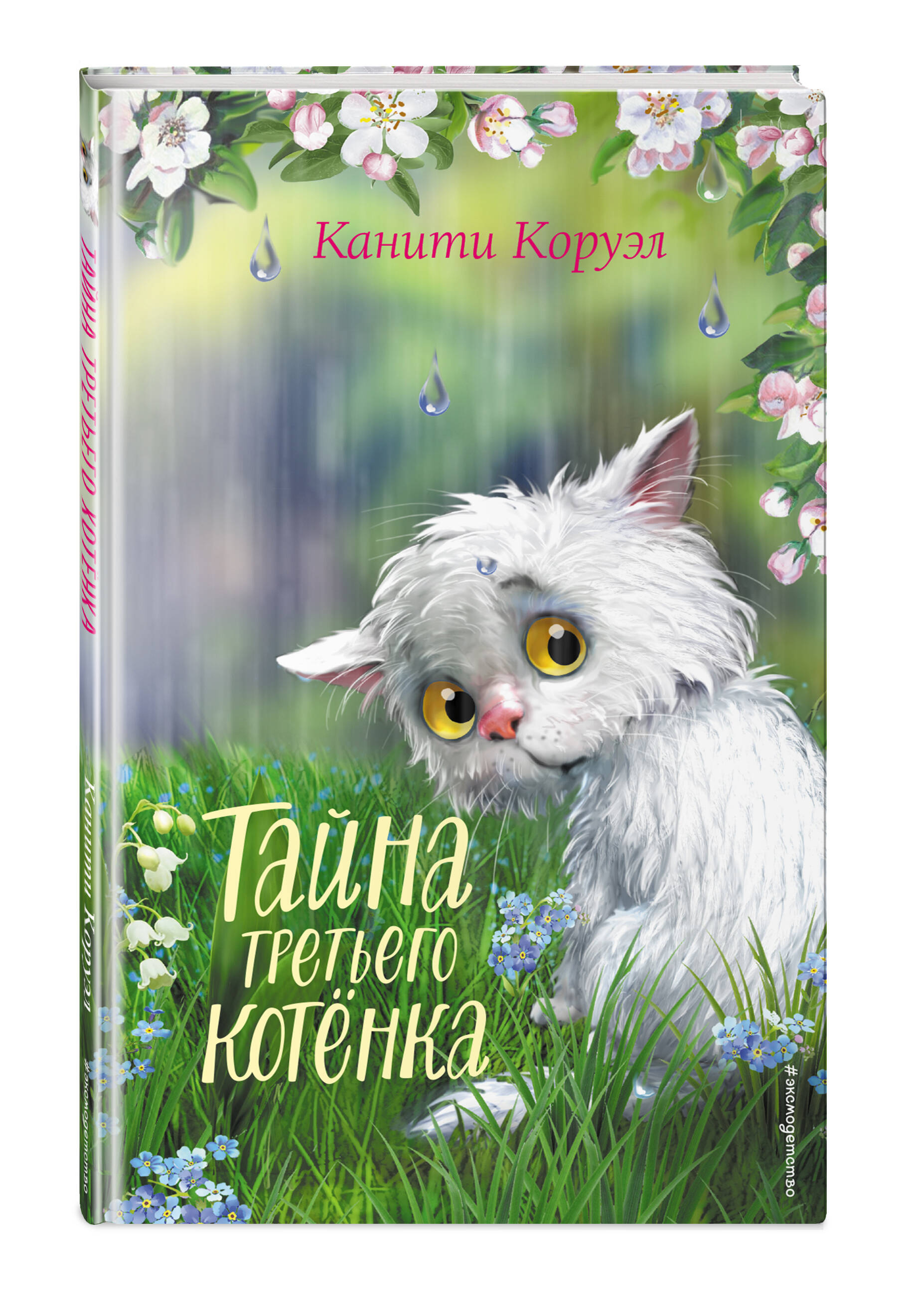 

Тайна третьего котёнка
