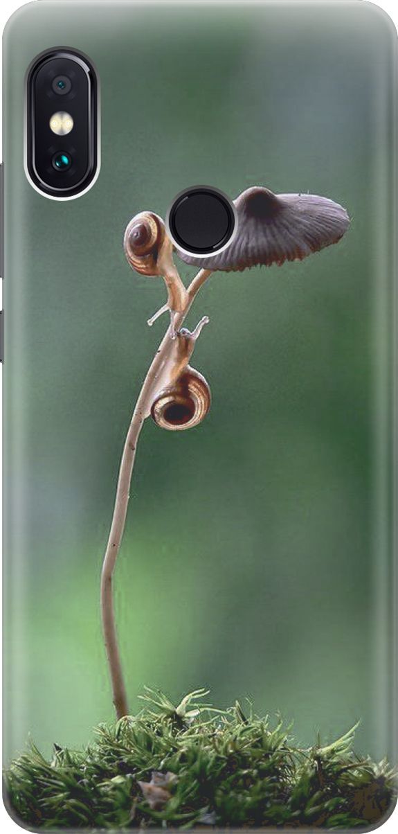 

Чехол на Xiaomi Redmi Note 5 "Две улитки", Зеленый;коричневый, 8030