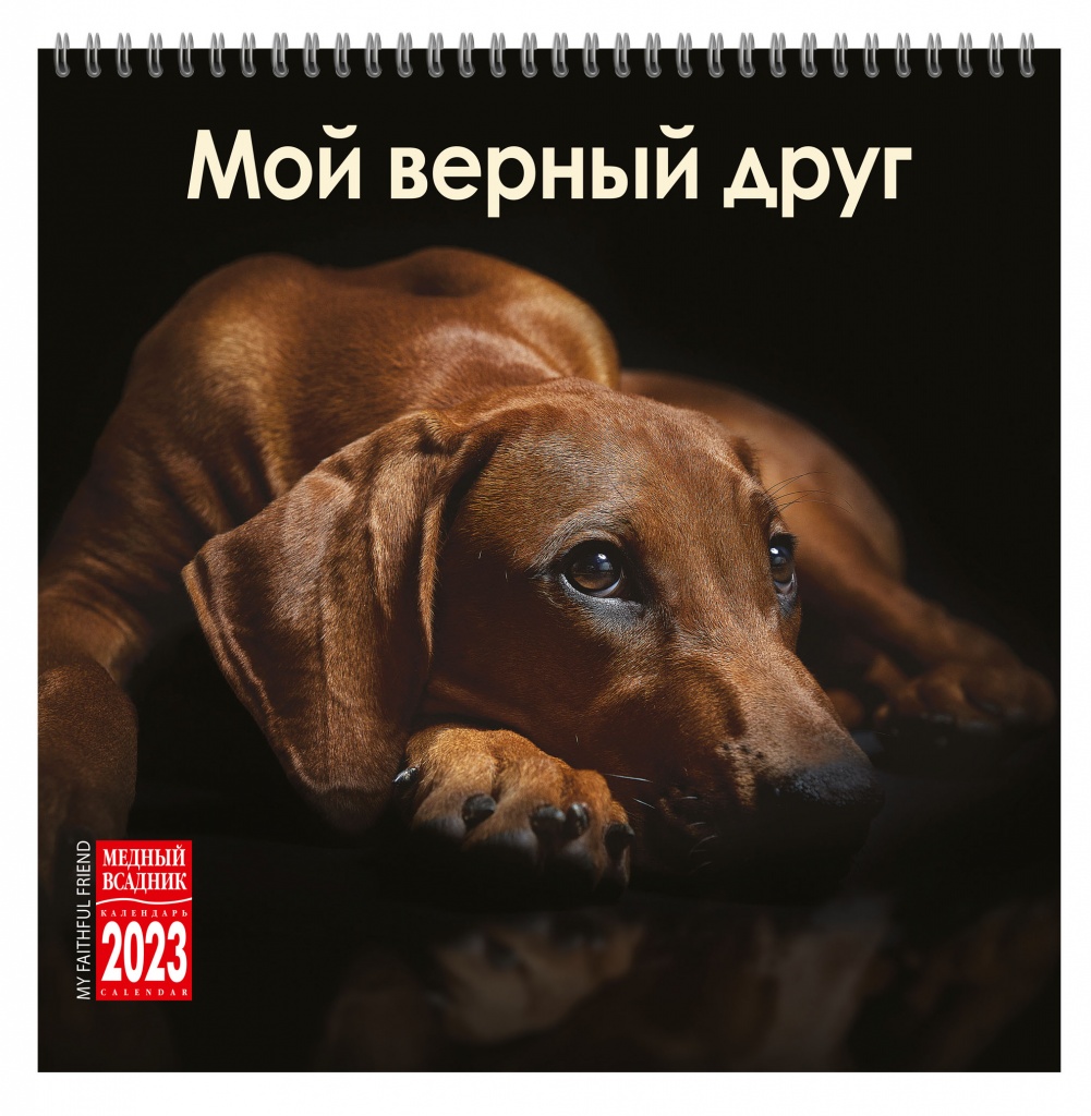 Календарь настенный перекидной на 2023 г. на спирали. ТД Медный Всадник. Мой верный друг