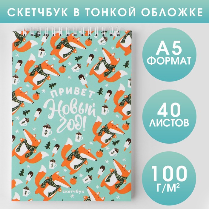 

Скетчбук в тонкой обложке на гребне Привет, Новый год!, А5, 40 листов, 100г/м2