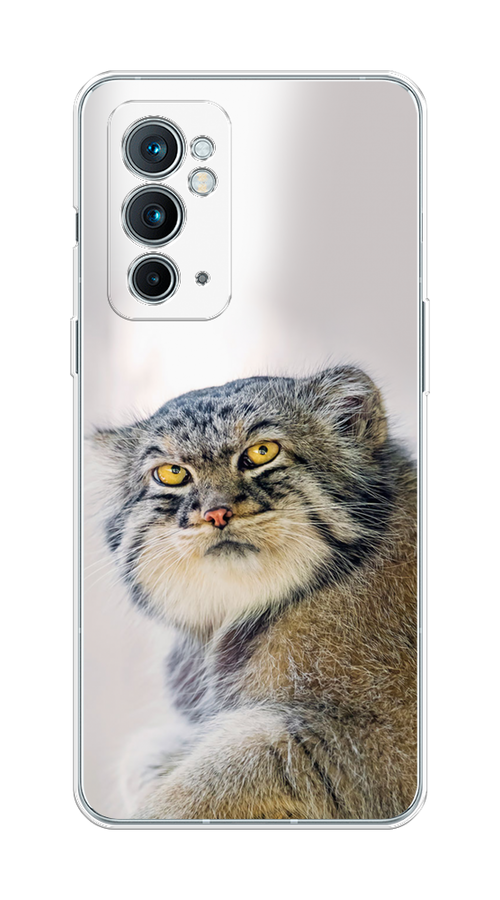

Чехол на OnePlus 9RT "Кот манул 1", Серый;белый;желтый, 152050-1