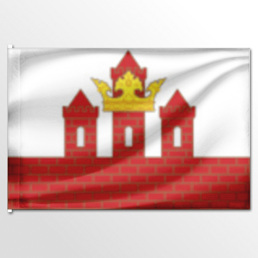 

Флаг ЦТП ФЕНИКС сельского поселения Борисовское 135x90 см, 1791-135x90