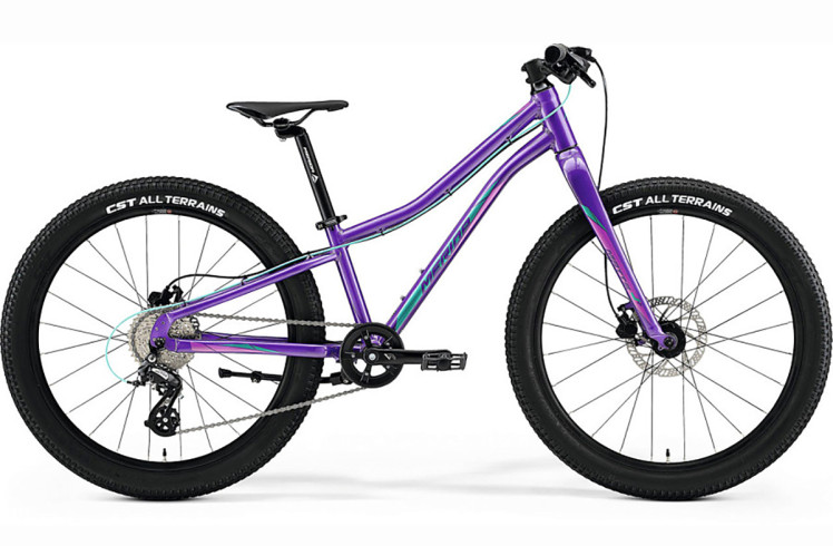 

Подростковый Merida Matts J.24+ Pro (2023) фиолетовый Один размер, Matts J.24+ Pro (2023) фиолетовый Один размер
