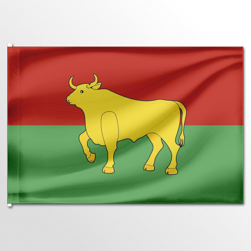 

Флаг ЦТП ФЕНИКС Куйбышевского района Новосибирская область 135x90 см, 2061-135x90