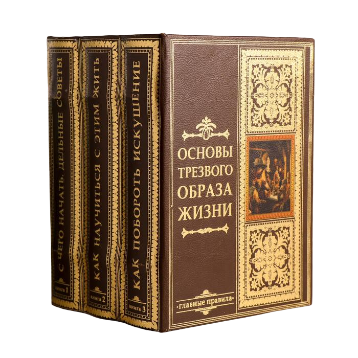 

Сейф-книга многотомник Основы трезвого образа жизни 25х19х16,5 см, Коричневый