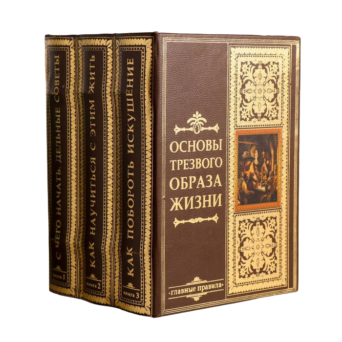 Сейф-книга многотомник Основы трезвого образа жизни 25х19х16,5 см