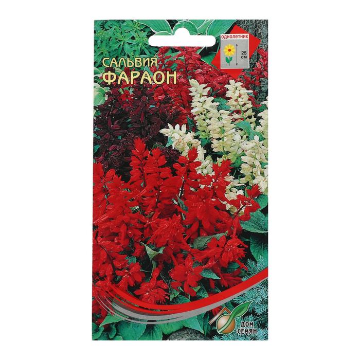 

Семена цветов Сальвия "Фараон", 15 шт