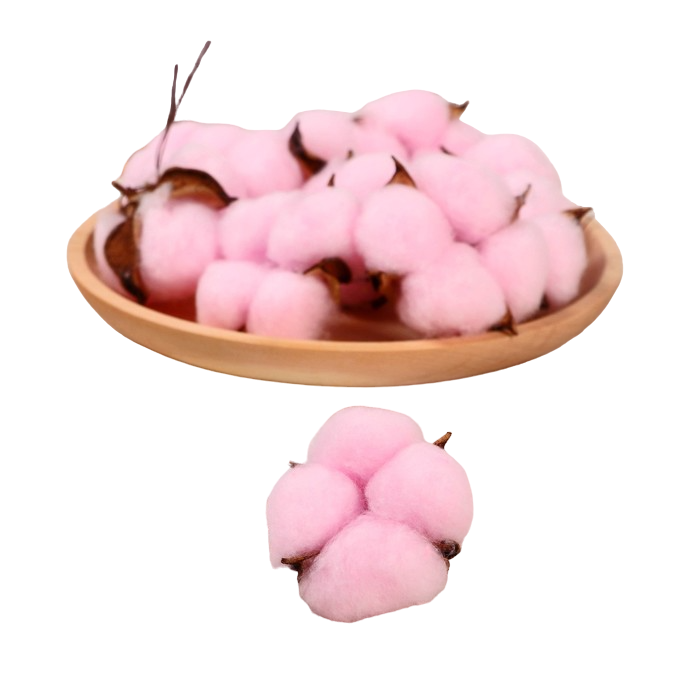 

Декор сухоцвет Хлопок d-5 см 5 см розовый 10 шт.