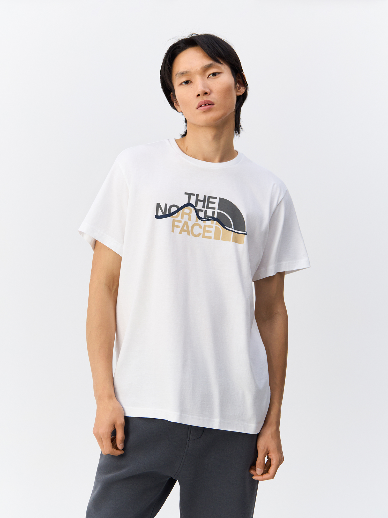 

Футболка мужская The North Face NF0A87NTFN41 белая L, Белый, NF0A87NTFN41