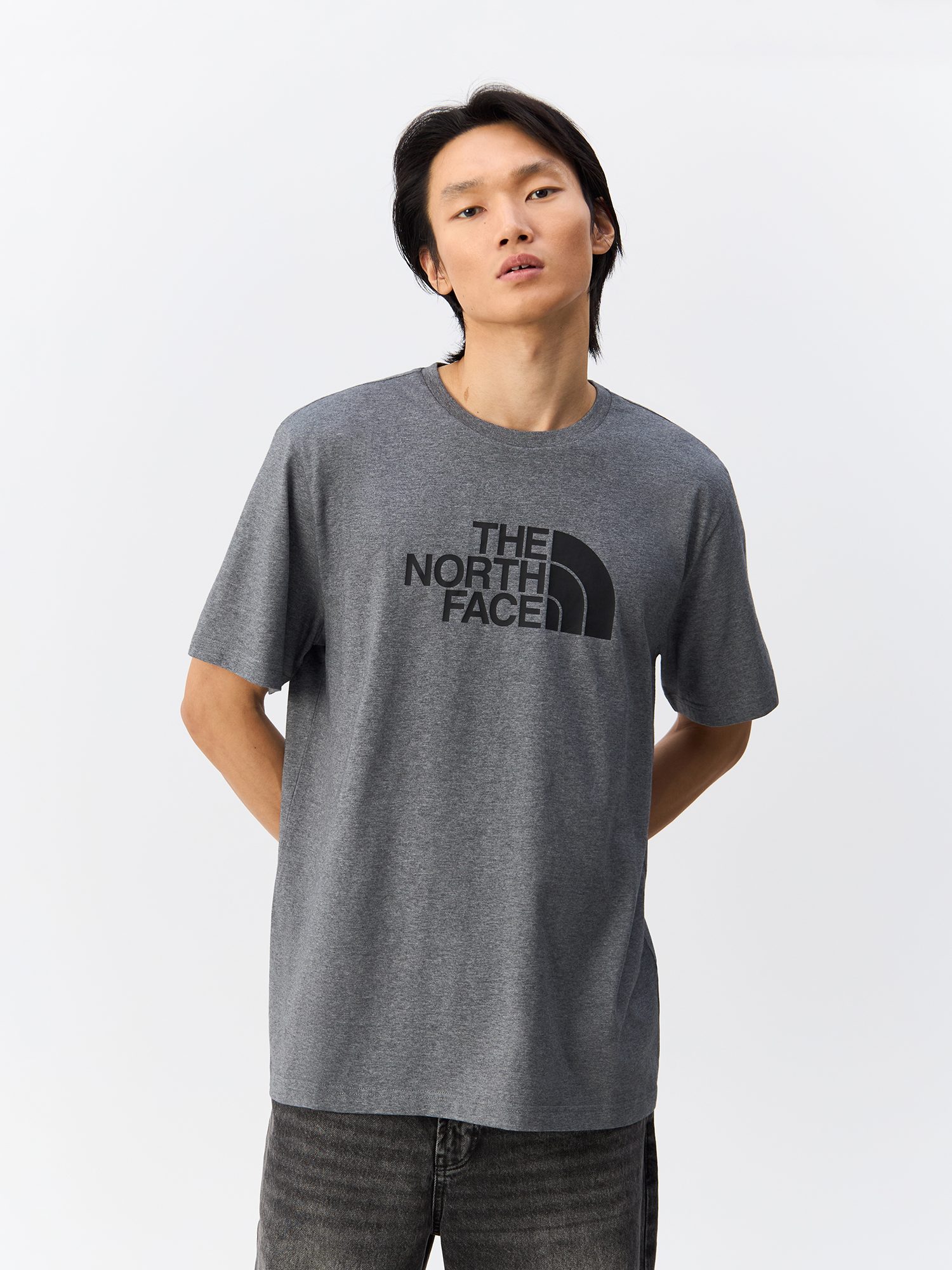 

Футболка мужская The North Face NF0A8A6CDYY1 серая L, Серый, NF0A8A6CDYY1