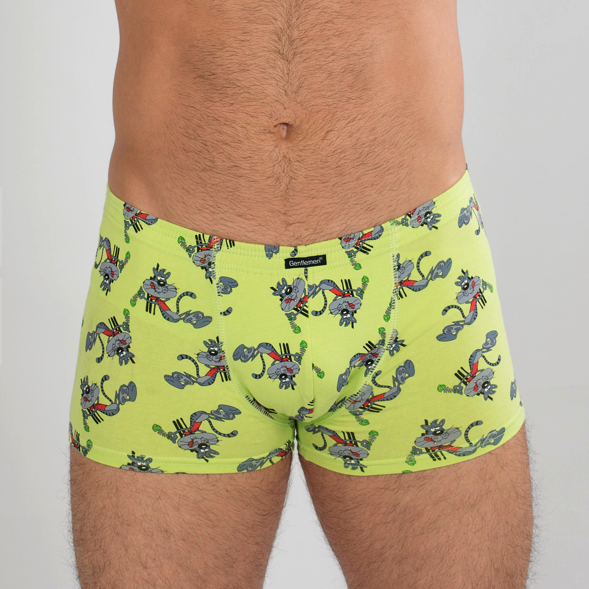 

Трусы мужские Gentlemen GS6089 зеленые M, Зеленый, GS6089