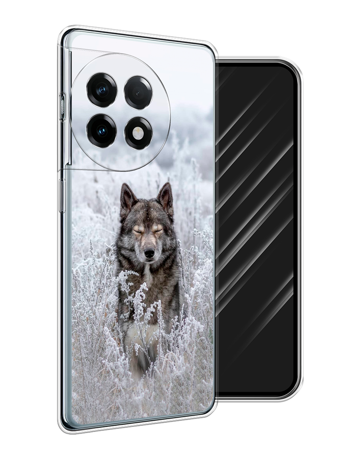 

Чехол Awog на OnePlus 11R "Волк в поле", Белый;черный, 154150-1