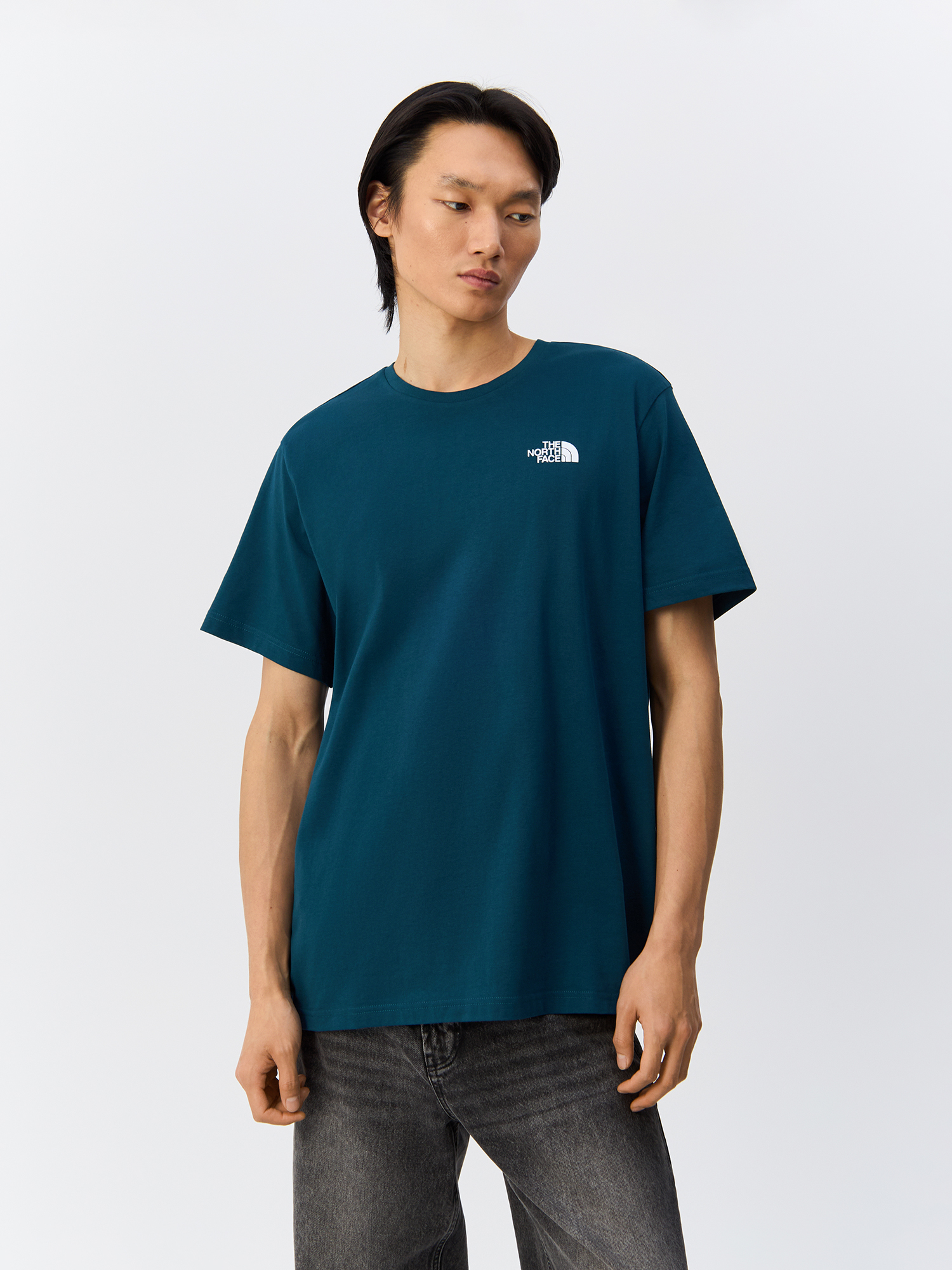 

Футболка мужская The North Face NF0A89FP1NO1 синяя XL, Синий, NF0A89FP1NO1