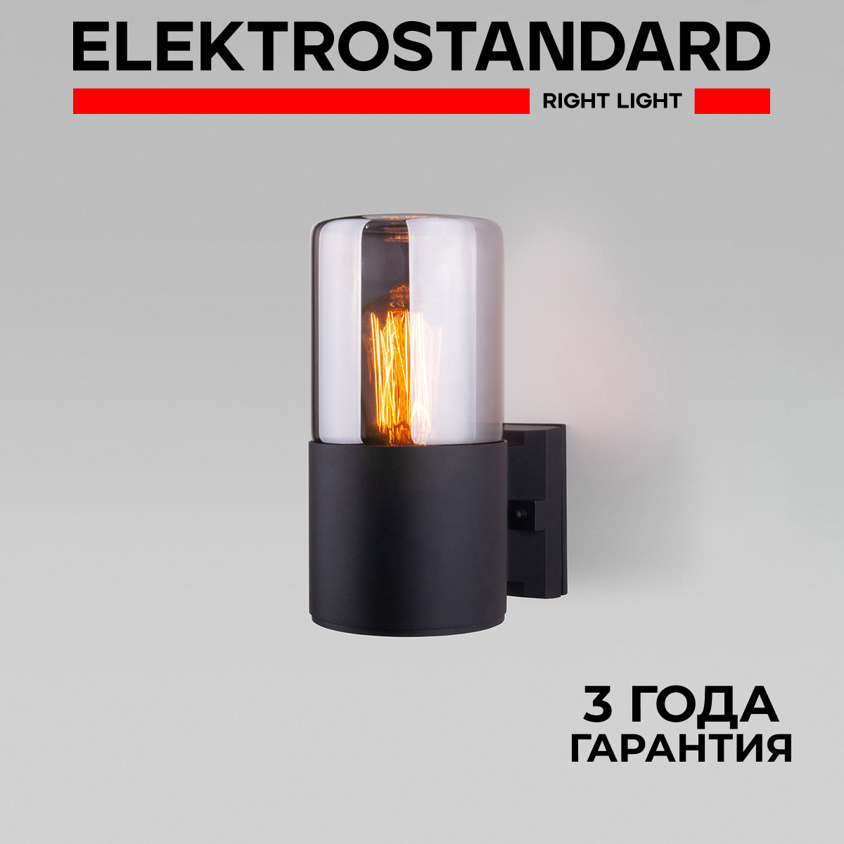 

Уличный настенный светильник Elektrostandard Roil 35125/U Е27 IP54 чёрный/дымчатый