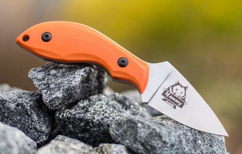 

Туристический нож Kizlyar Supreme Hammy Niolox SW G10, orange, Оранжевый;серебристый, Hammy Niolox SW G10