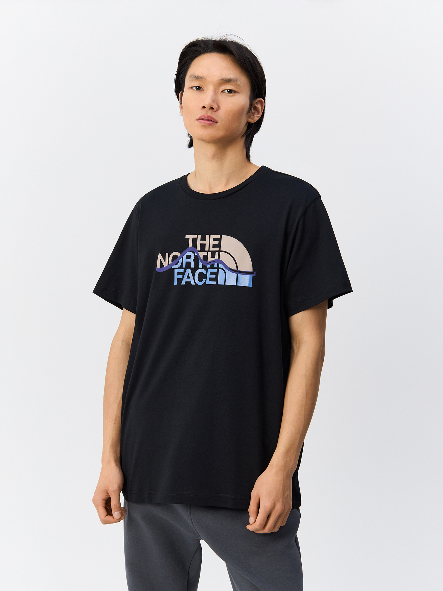 

Футболка мужская The North Face NF0A87NTJK31 черная XL, Черный, NF0A87NTJK31