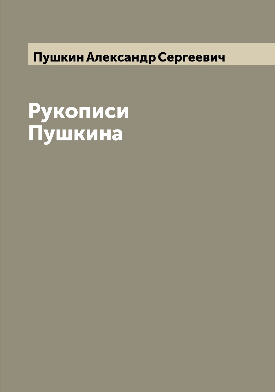 

Книга Рукописи Пушкина