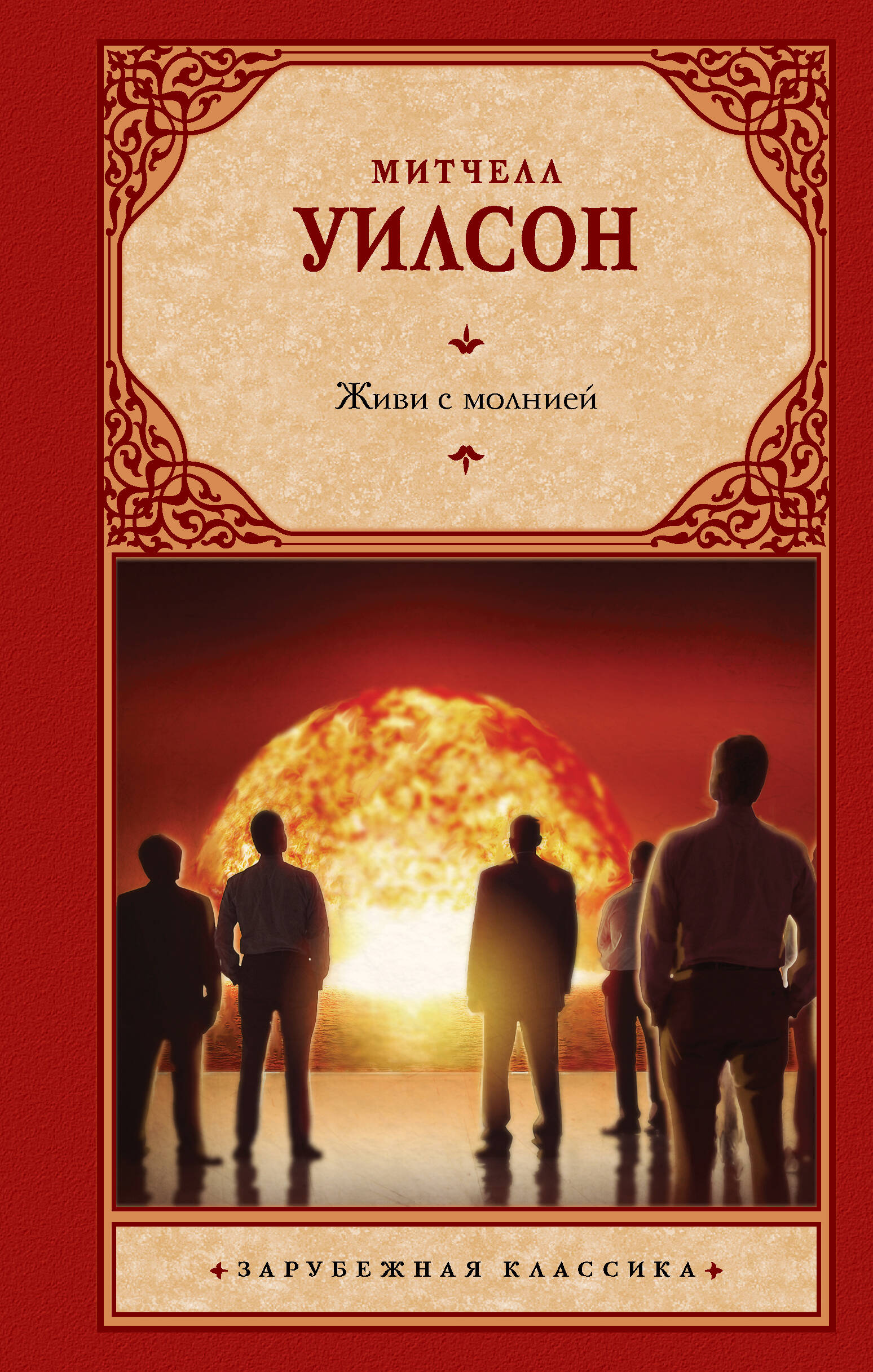 

Живи с молнией