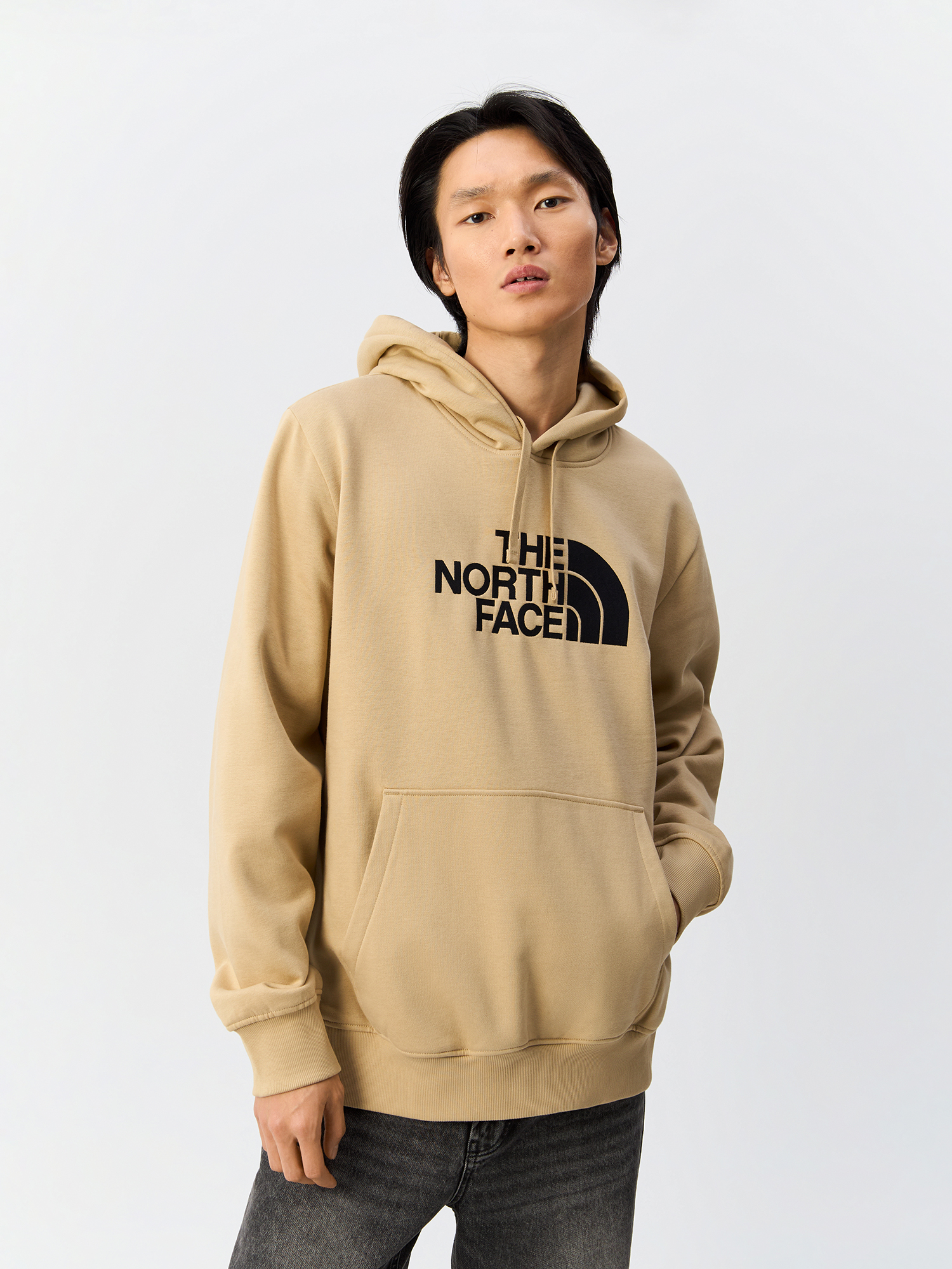 Худи мужское The North Face Drew Peak NF0A89EMLK51 бежевое L 13990₽