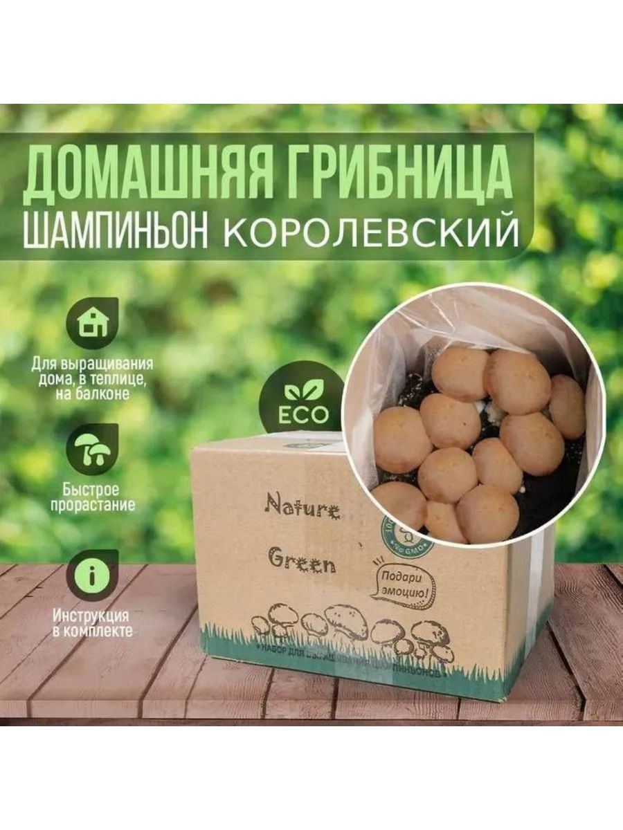 Набор для выращивания NatureGreen грибница шампиньонов