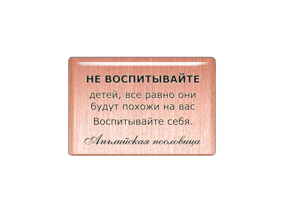 Магнит Не воспитывайте детей, все равно они будут похожи на вас. Воспитывайте себя