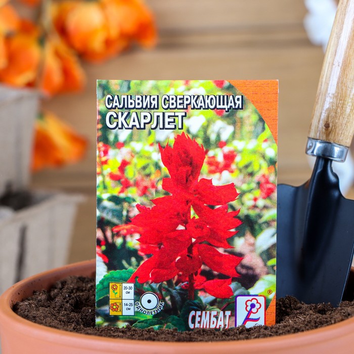 

Семена цветов Сальвия сверкающая "Скарлет", 0,05 г