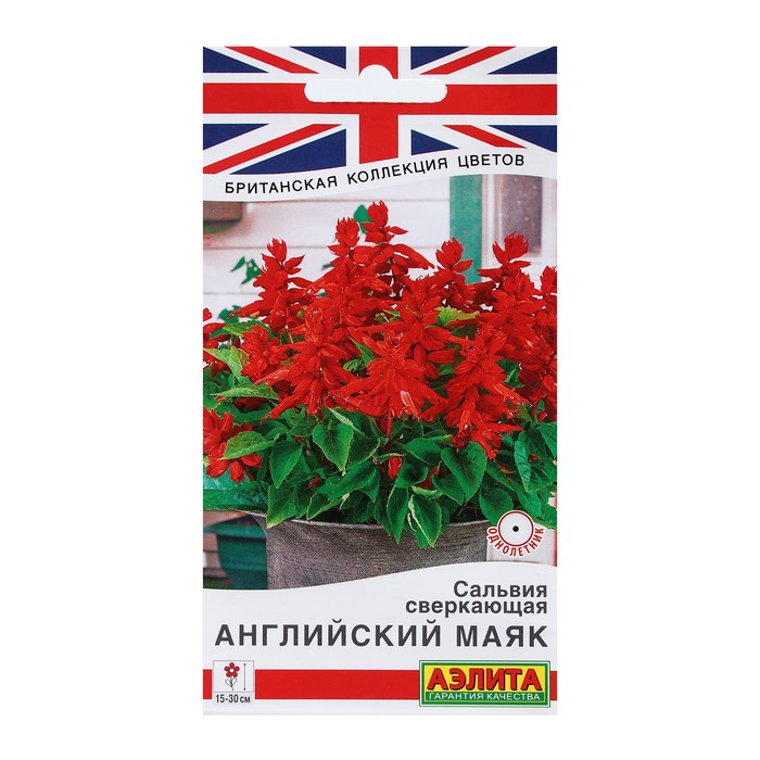 

Семена Цветов Сальвия сверкающая Английский маяк, 7 шт