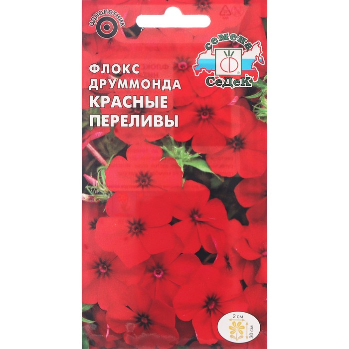

Семена цветов цветок Флокс Красные переливы (друммонда, низкорослый, ярко-красный) . Евро,