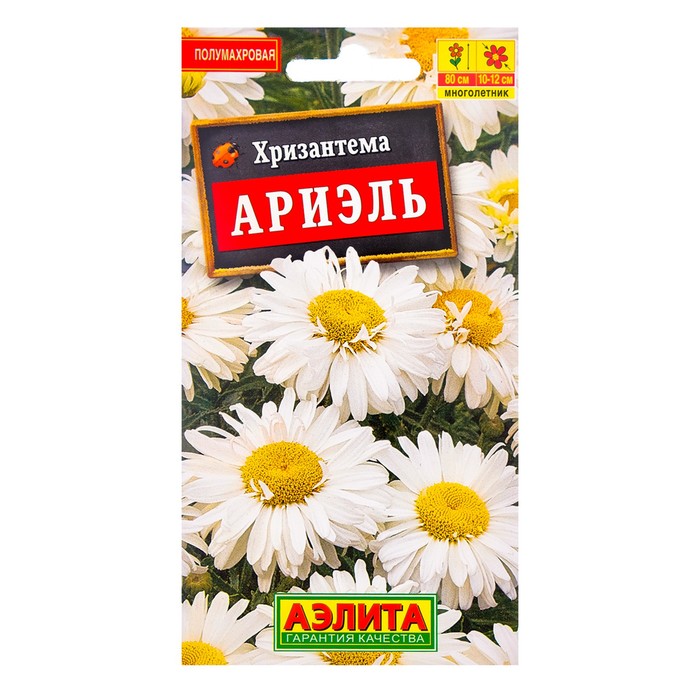 

Семена цветов Хризантема "Ариэль", Мн, 0,1 г