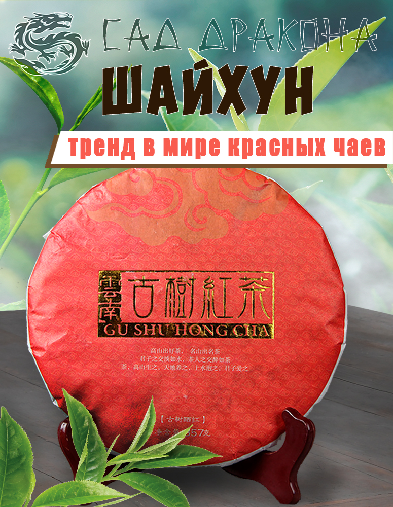 Красный чай Сад Дракона Шайхун Гушу, 357 г