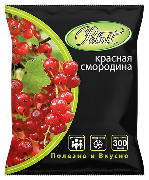 

Красная смородина Polvit быстрозамороженная 0,3 кг