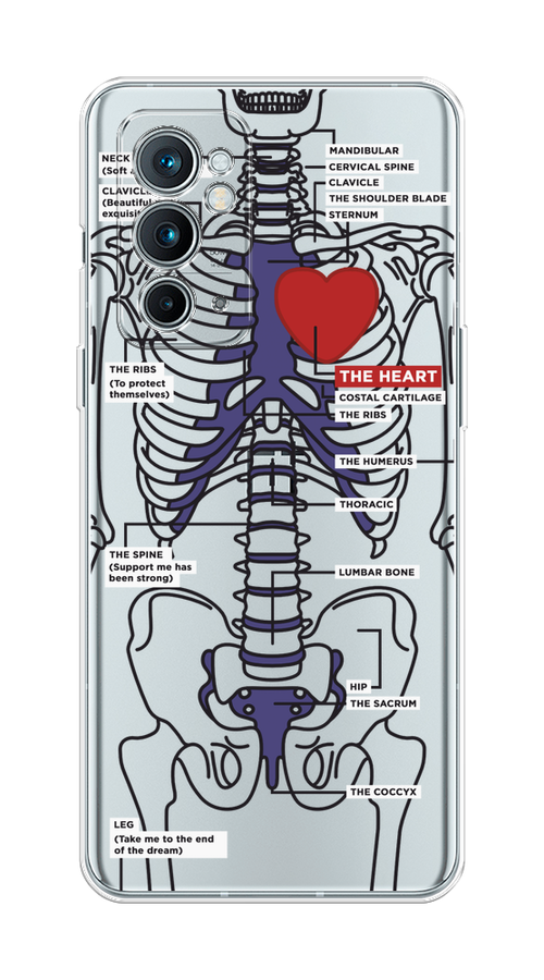 

Чехол на OnePlus 9RT "Скелет человека", Прозрачный;синий;красный, 152050-1