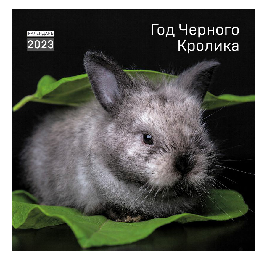 

Календарь настенный Год черного кролика на 2023 год на скрепке 30 х 30 см