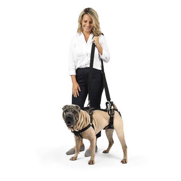 

Шлейка-ходунки поддержка задних лап пожилых собак PetSafe CareLift Full Body Harness, CareLift Full Body Harness