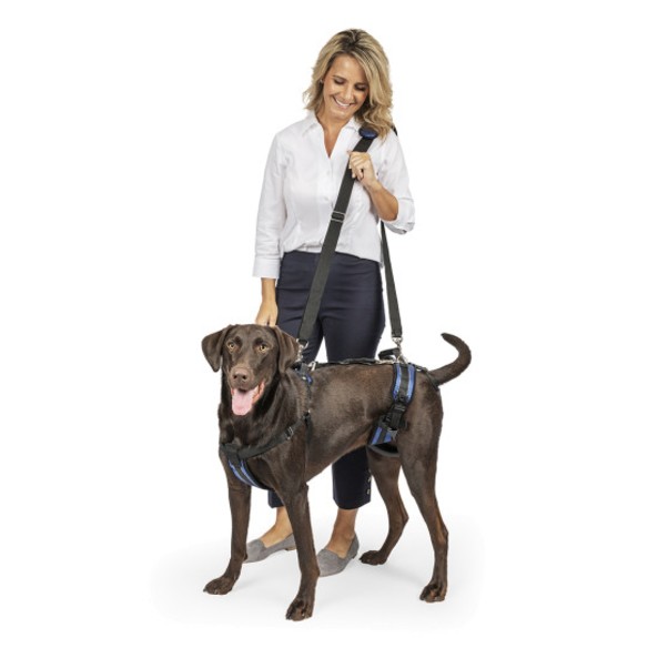 

Шлейка-ходунки поддержка задних лап пожилых собак PetSafe CareLift Full Body Harness, CareLift Full Body Harness