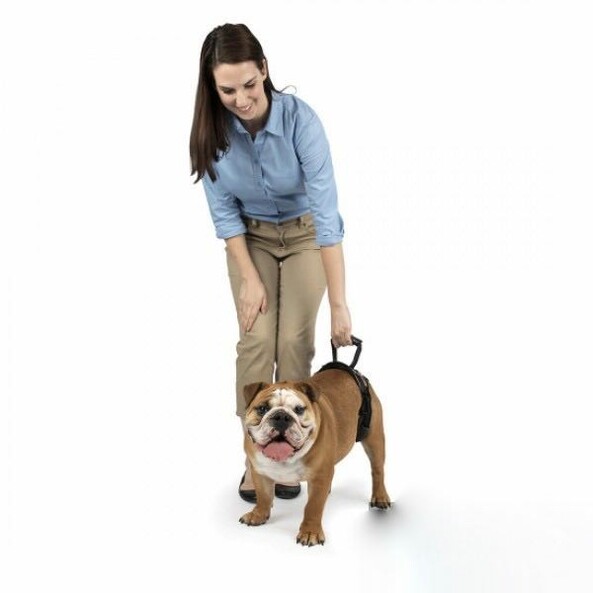 

Ходунки поддержка задних лап для пожилых собак PetSafe CareLift Rear Support Harness, CareLift Rear Support Harness