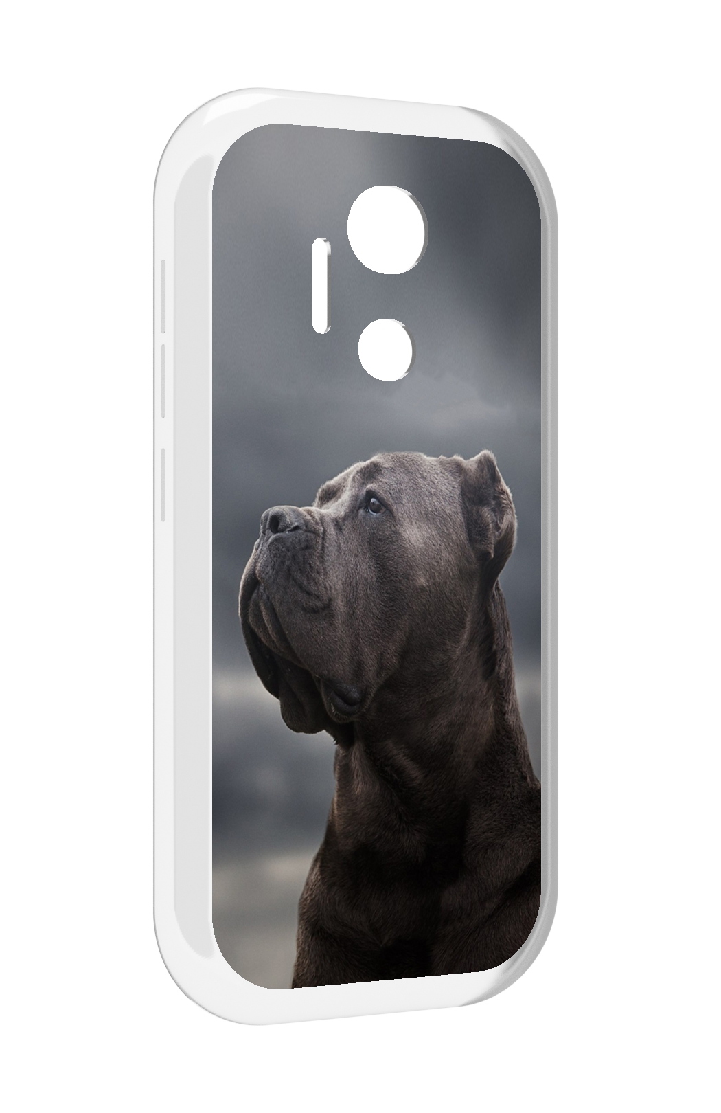 

Чехол MyPads кане корсо для doogee x97 pro, Прозрачный, Tocco