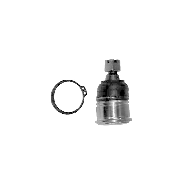 

CORTECO 49395816 Опора шаровая нижн HONDA: ACCORD V 93-98, ACCORD VI 96-98, ACCORD VII 98-