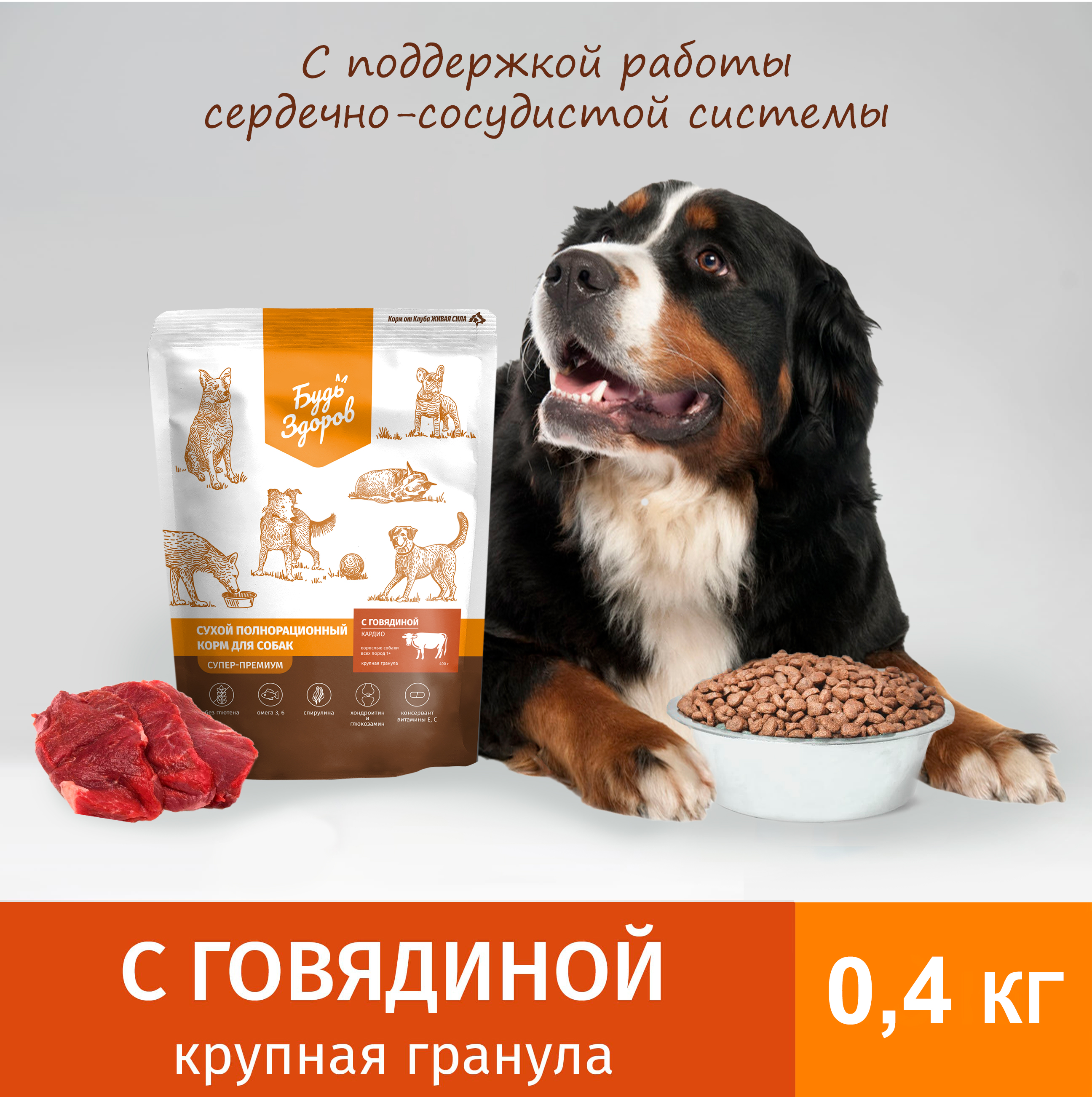 Сухой корм для собак Будь Здоров Живая Сила, крупная гранула, с говядиной, 0,4 кг