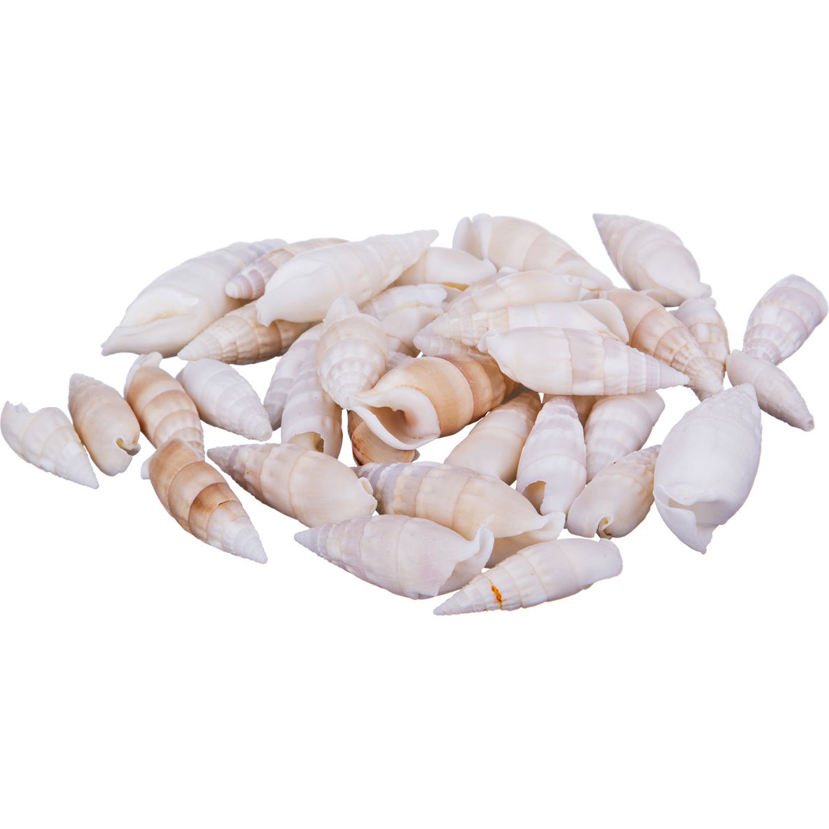 

Декоративные ракушки 250 гр 36-259