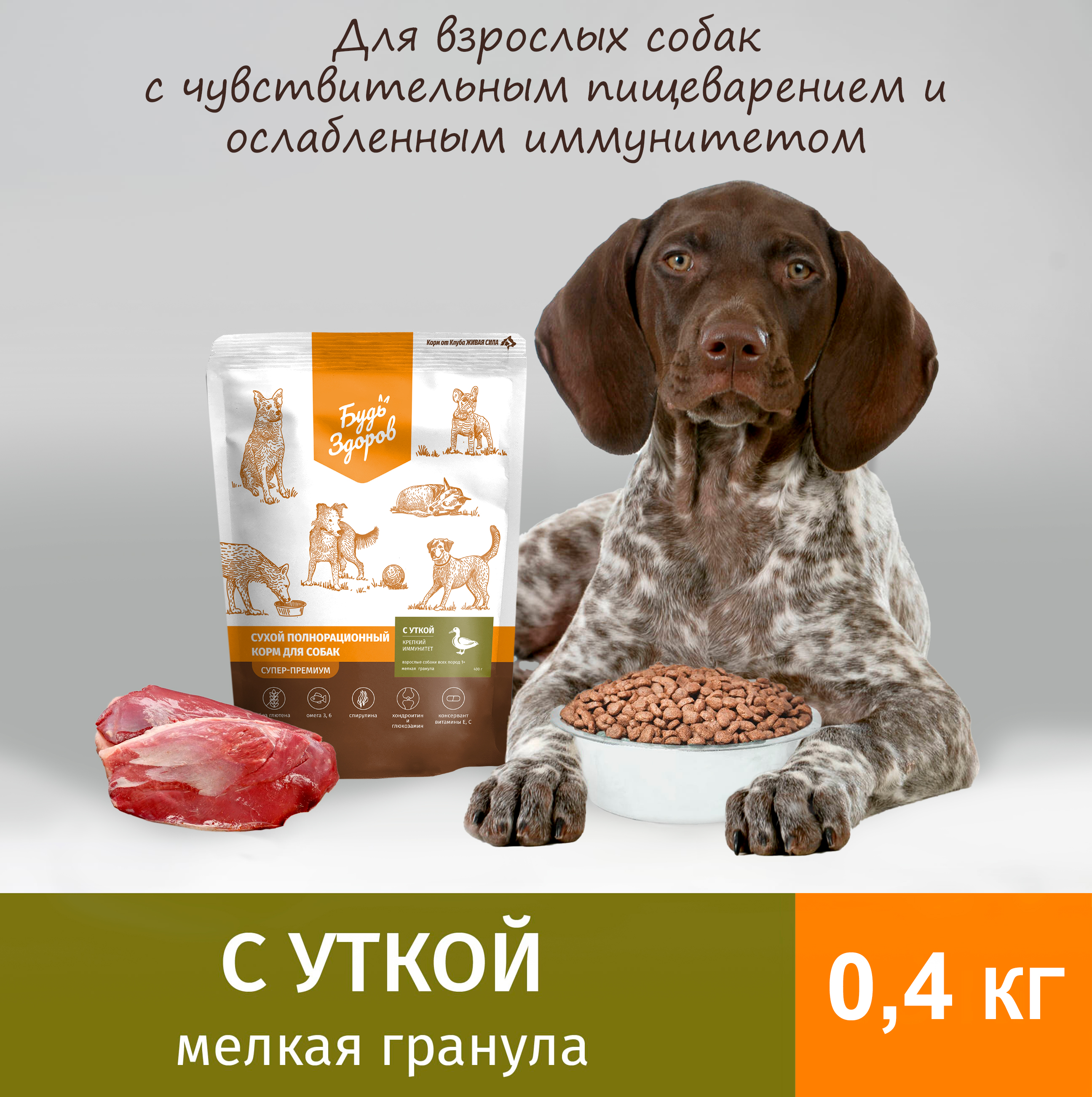 Сухой корм для собак Будь Здоров Живая Сила, мелкая гранула, с уткой, 0,4 кг
