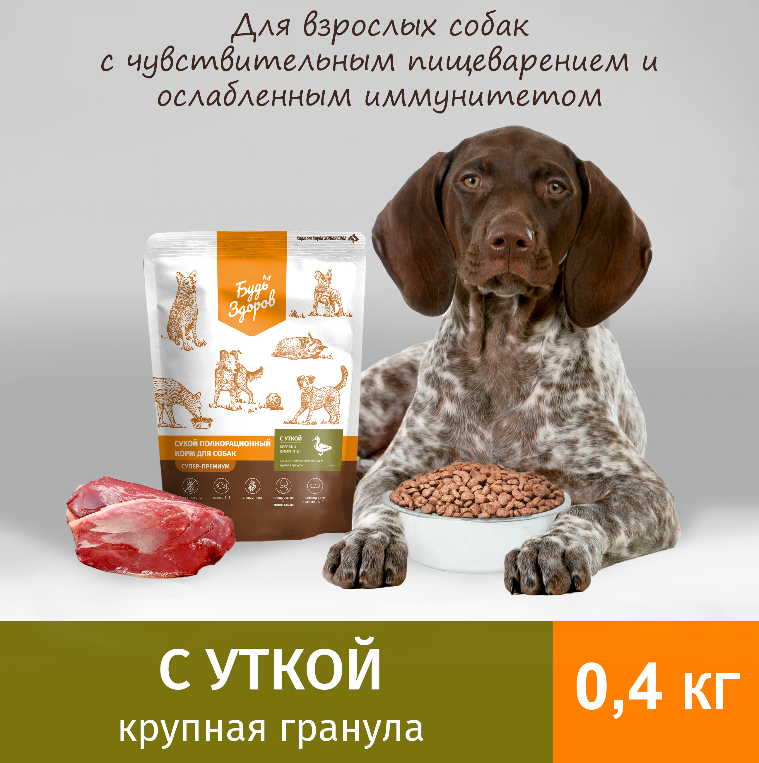 Сухой корм для собак Будь Здоров Живая Сила, крупная гранула, с уткой, 0,4 кг