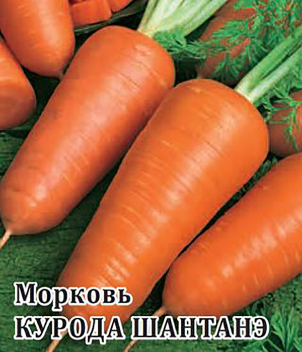 

Семена. Морковь "Курода Шантанэ" (вес: 100 г)