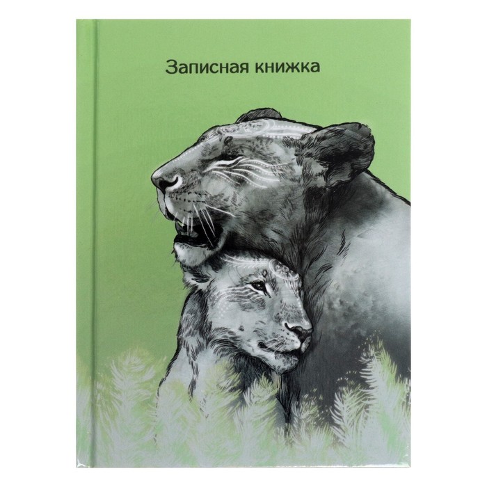 

Записная книжка 105х140 мм 64 листа Львы твёрдая обложка глянцевая ламинация