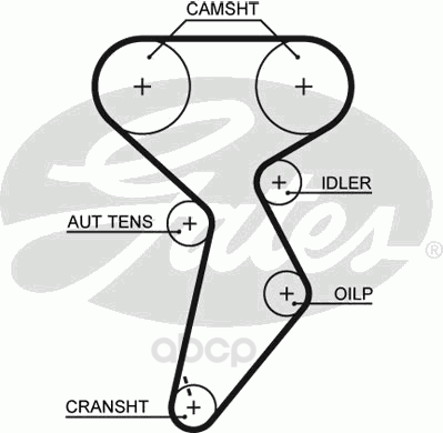 

GATES Ремень ГРМ GATES 5432XS