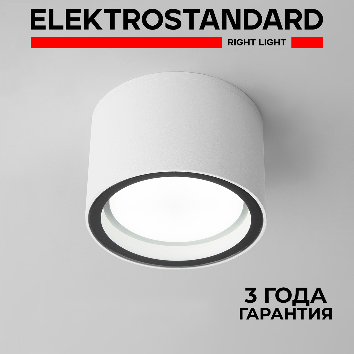 

Уличный потолочный светильник Elektrostandard 35144/H белый, Light