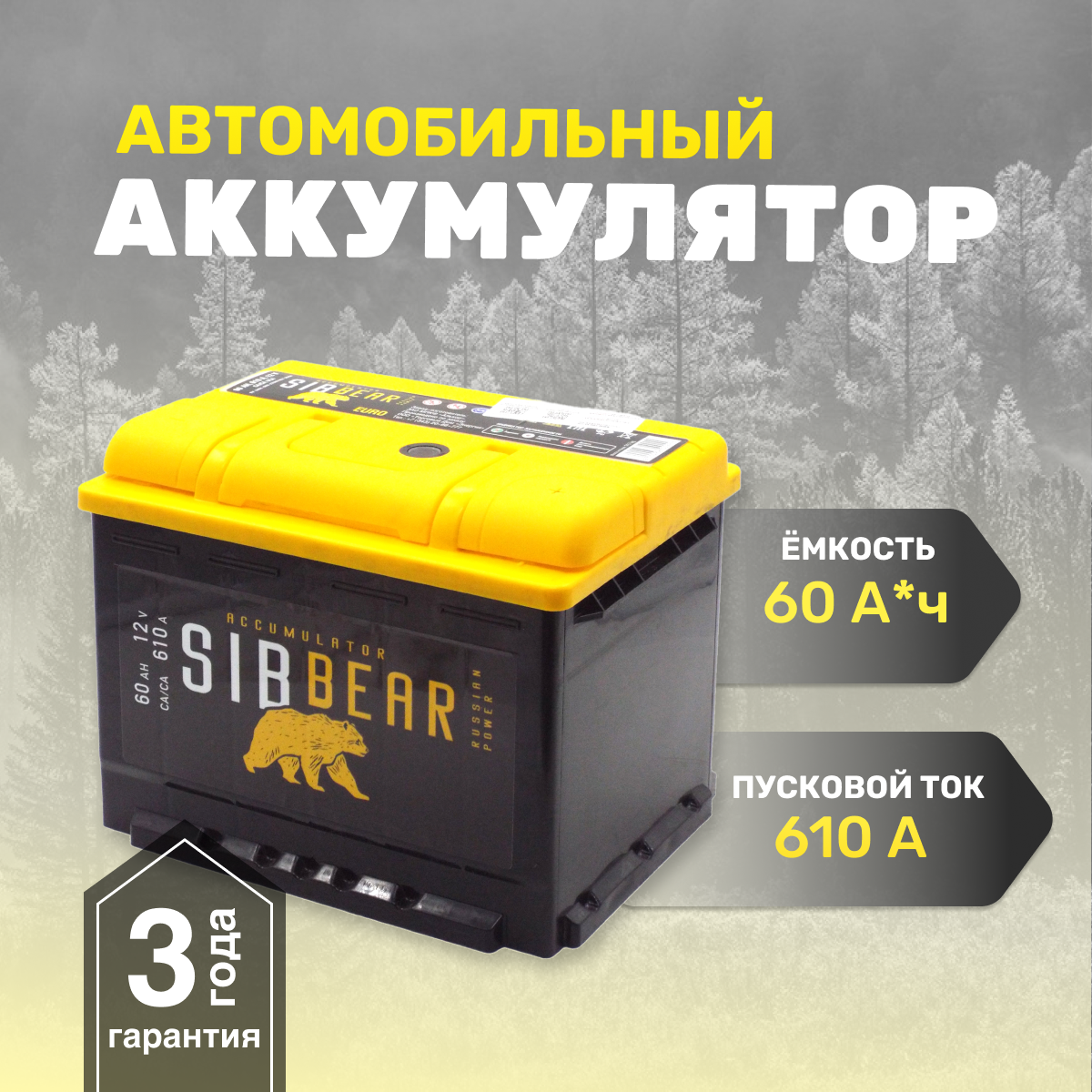 Аккумулятор автомобильный SIBBEAR 60 А*ч о.п 242х175х190