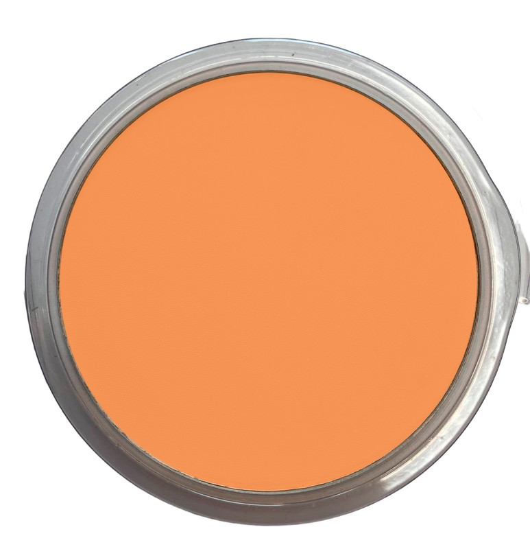 

Диск Пудры Face nicobaggio professional make-up Tanning Face c SPF bronze 04 бронзовый, Бежевый, TANNING FACE